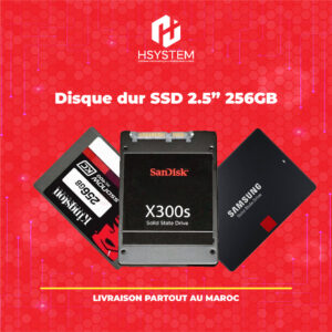Disque dur SSD SATA 256GB 2.5" – Stockage Rapide - Performance Optimale PC