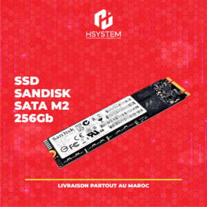 SSD SanDisk 256 Go M.2 SATA III – Lecture 550 Mo/s – Écriture 525 Mo/s – Technologie 3D NAND – Idéal pour PC portable et bureau compatibles M.2 SATA – Achat Maroc
