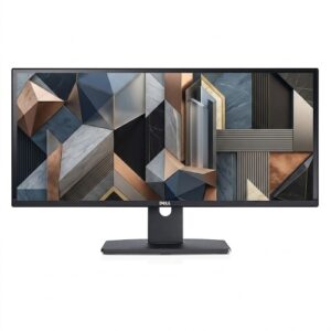 Dell UltraSharp U2913WM 1